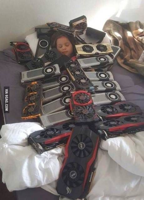 행복한 잠자리.JPG