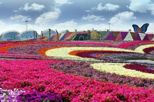 세계에서 가장 큰 두바이 정원.jpg