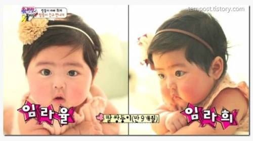 쌍둥이 3단 변신.jpg