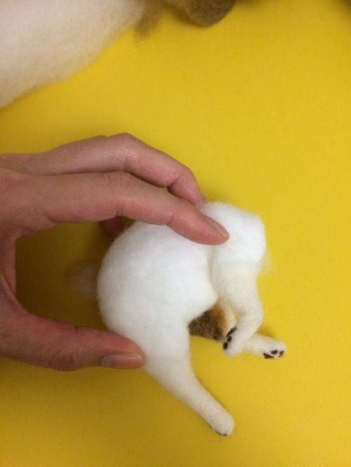 고양이 털로 만든 고양이