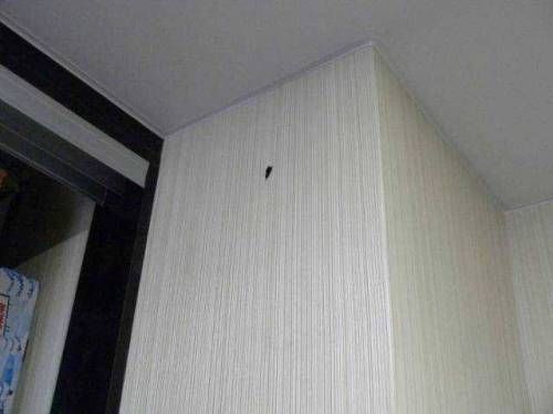 갑자기 벽에 이상한게 나타났다.jpg