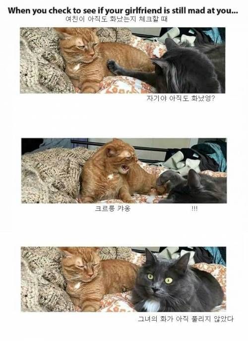 여친이 아직도 화났나 체크할 때