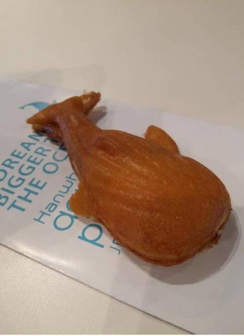 국내 지방에서 파는 특이한 지역빵.jpg