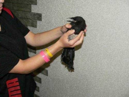 갑자기 벽에 이상한게 나타났다.jpg