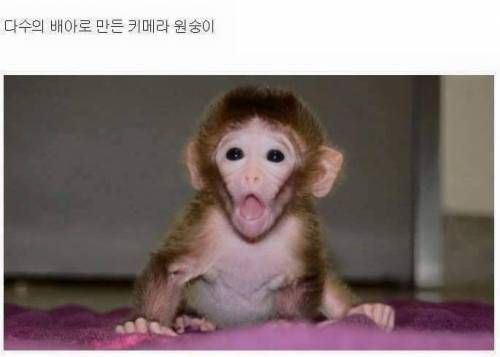 현재 우리 인류의 기술 수준