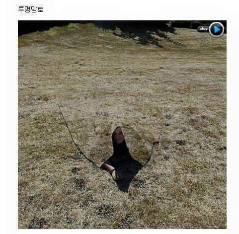 현재 우리 인류의 기술 수준