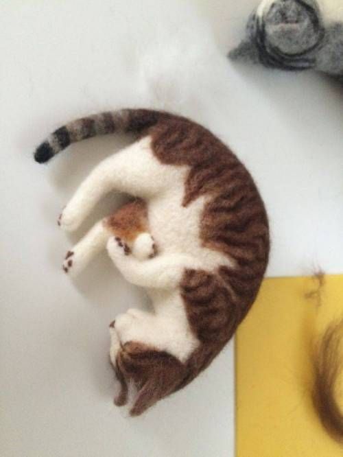고양이 털로 만든 고양이