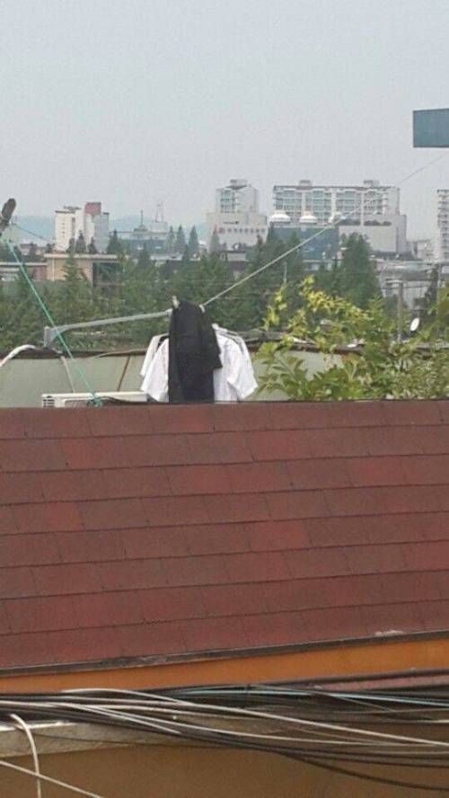 담배피러 옥상올라갔다가 개식겁한 사진
