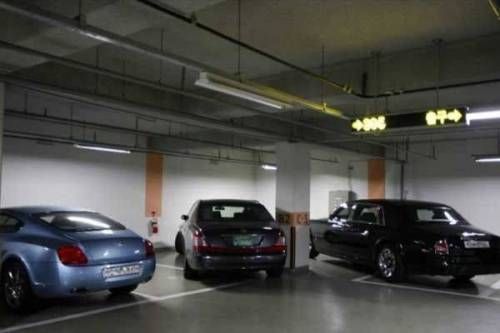 차주의 인성이 돋보이는 주차.jpg