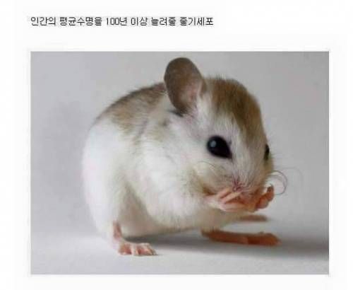 현재 우리 인류의 기술 수준