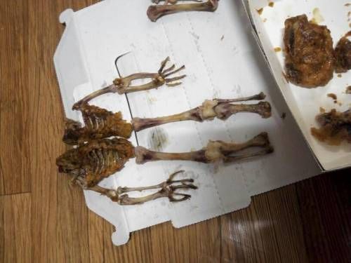 의대생의 치킨활용법