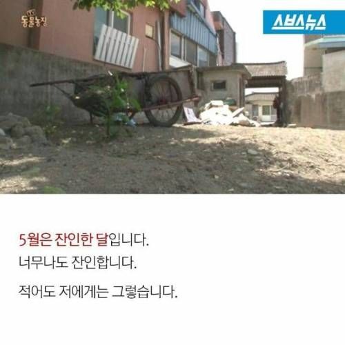 똘이야 밥먹자.jpg