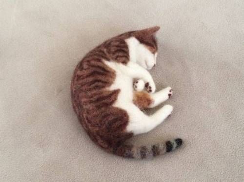 고양이 털로 만든 고양이