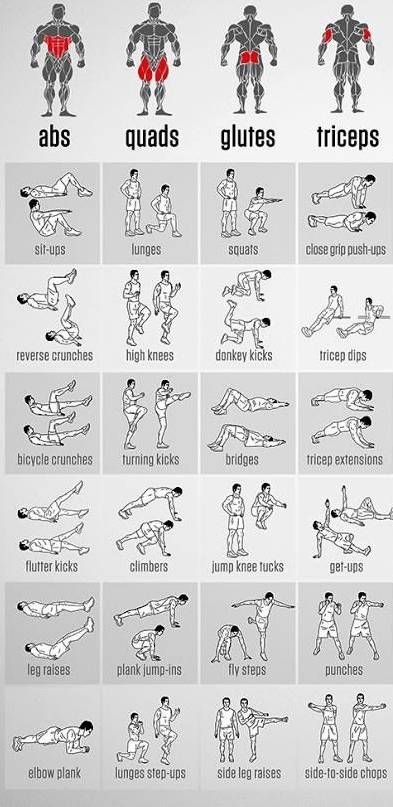 근육별 운동방법.jpg