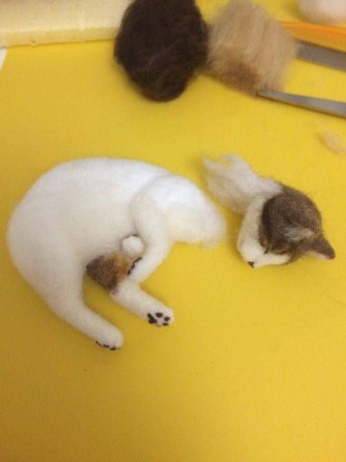 고양이 털로 만든 고양이