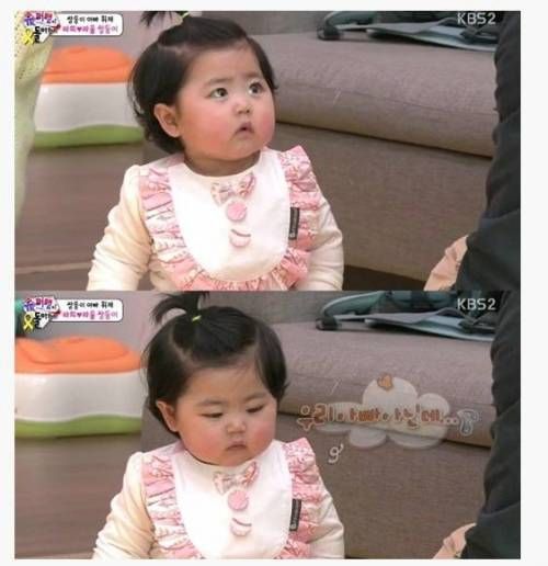 쌍둥이 3단 변신.jpg