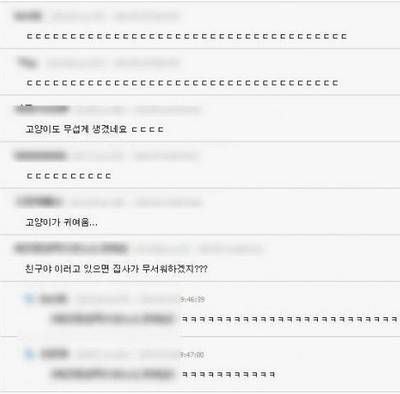 귀신보는 고양이.jpg