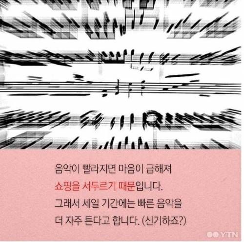 마케팅 전략의 결정체