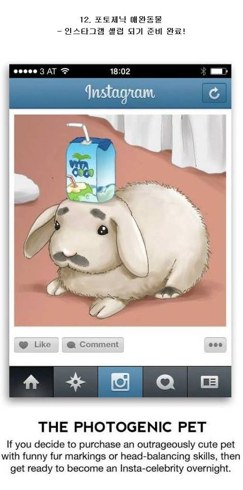 인스타그램에 자주 올라오는 사진 유형