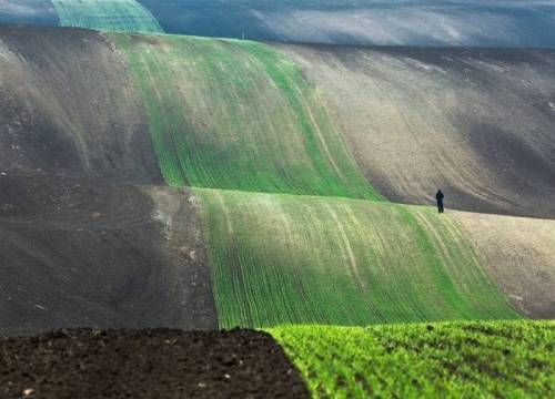 웅장한 대자연.jpg