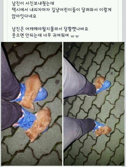 날 데려가랏!.jpg