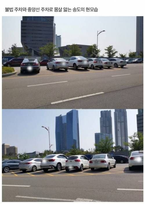 송도 신도시의 명암.jpg