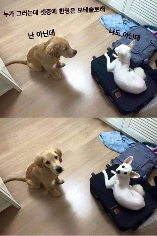 누가 그러는데 셋중에 한명은 모태솔로래