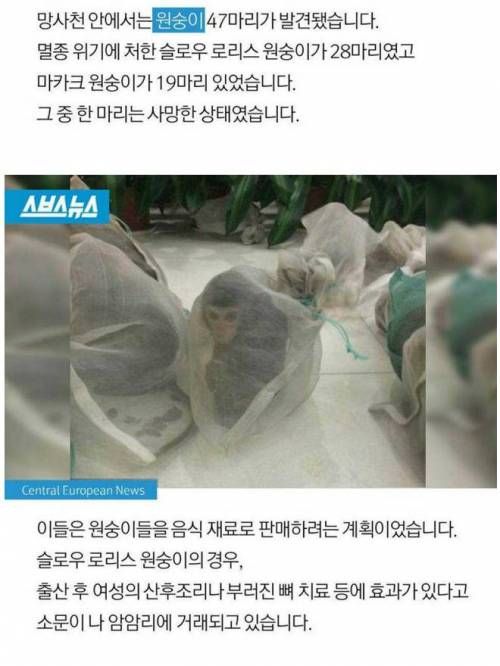 세상에서 제일 잔인한것!