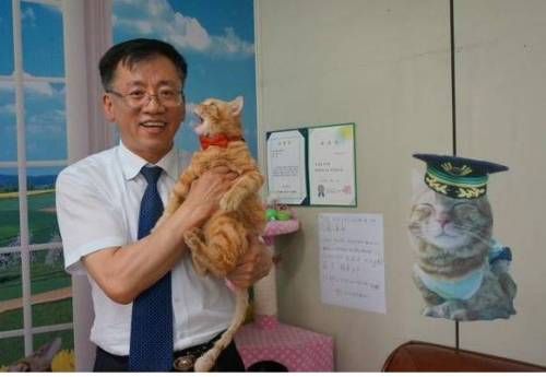 서울 역곡역의 유명한 고양이.jpg