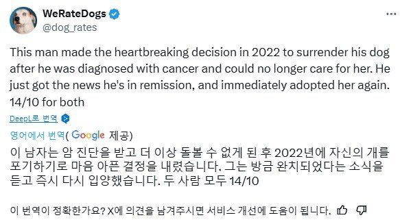 전 주인을 다시 만난 파양견