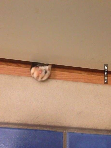 너네 때문에 맘편히 화장실도 못감