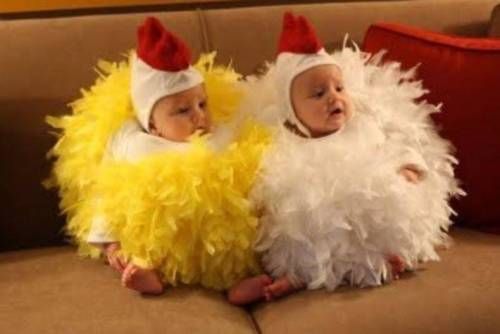 엄마 나도 취향이라는게 있는데...