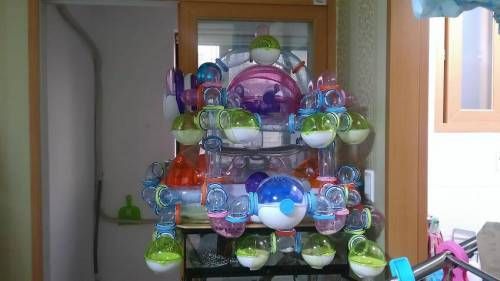 건축 전문가.jpg