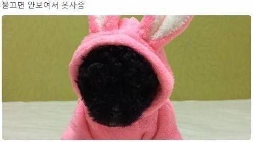 불끄면 안보여서 옷 사줌