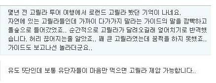 신이내린 유도천재.JPG