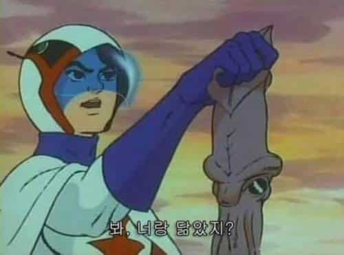 봐, 너랑 닮았지?