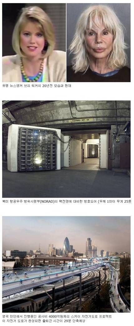 흥미로운 사진 모음