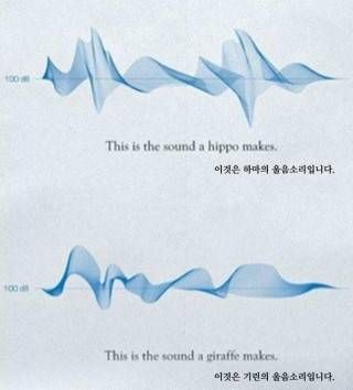 신박한 동물원 광고