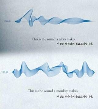 신박한 동물원 광고