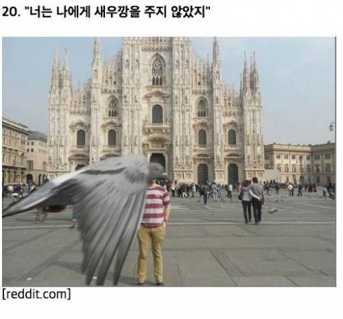 뜻밖의 동물 사진