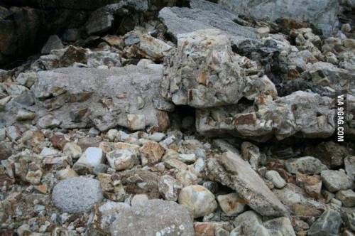 스나이퍼 위장 수준.jpg