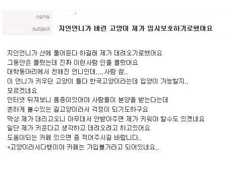 개키운다고 고양이 2마리 버리는 언니