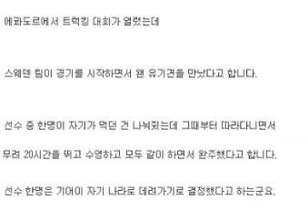 트래킹 대회에서 벌어진 일