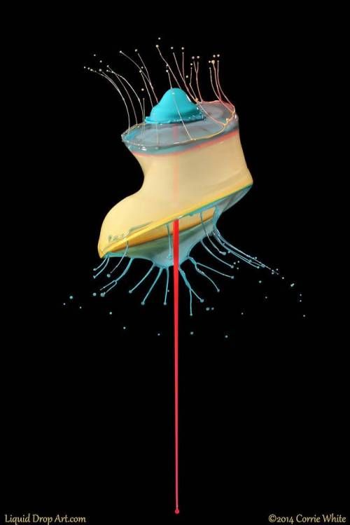 액체와 액체가 만나 빚어낸 작품들..jpg