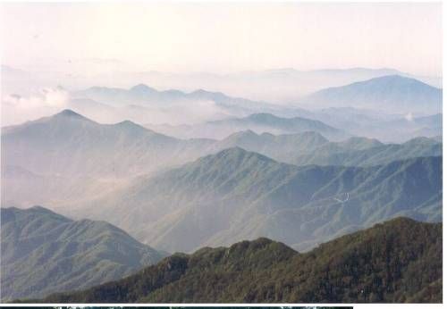 전세계가 놀란 한국의 업적 .JPG