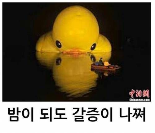 러버덕의 여덟 가지 수난