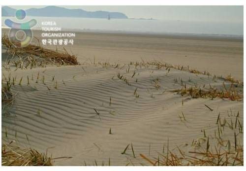 대한민국에 존재하는 사막.jpg