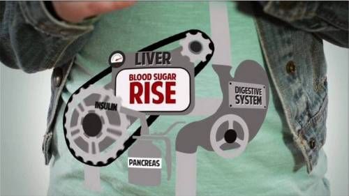 저지방 식품의 함정.jpg