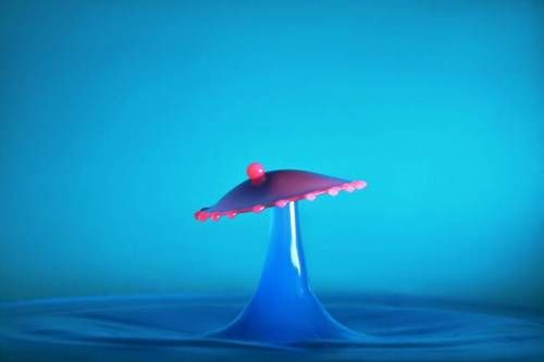 액체와 액체가 만나 빚어낸 작품들..jpg