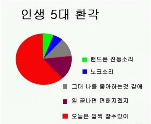 인생 5대 환각